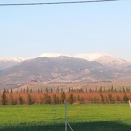 Villa By The River Facing The Hermon In Dafna Luaran gambar