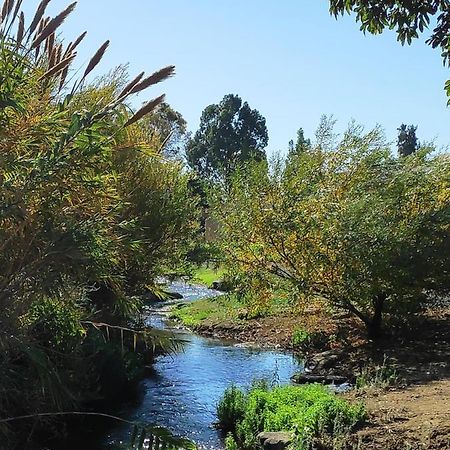 Villa By The River Facing The Hermon In Dafna Luaran gambar