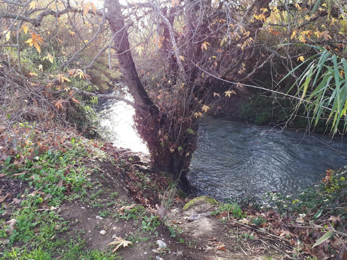 Villa By The River Facing The Hermon In Dafna Luaran gambar