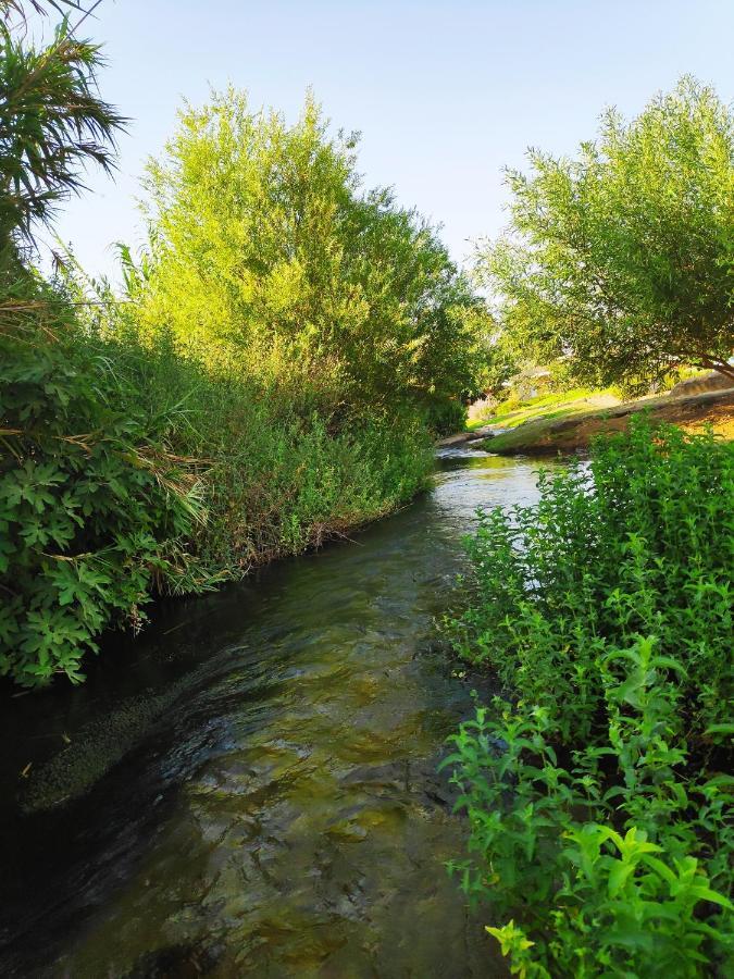 Villa By The River Facing The Hermon In Dafna Luaran gambar