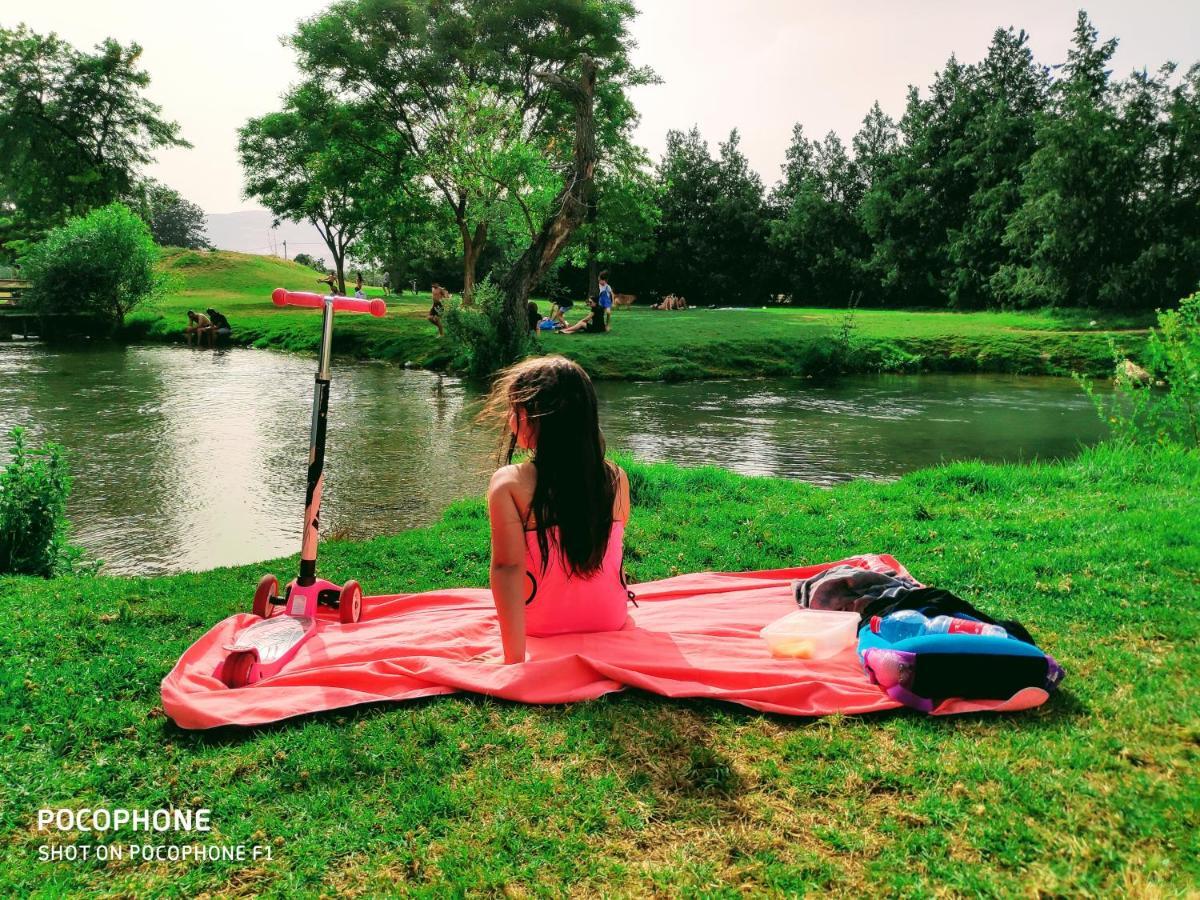 Villa By The River Facing The Hermon In Dafna Luaran gambar