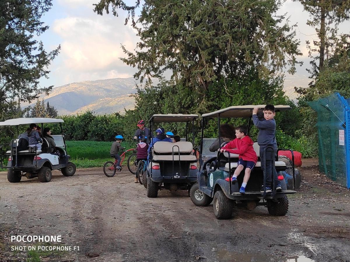 Villa By The River Facing The Hermon In Dafna Luaran gambar